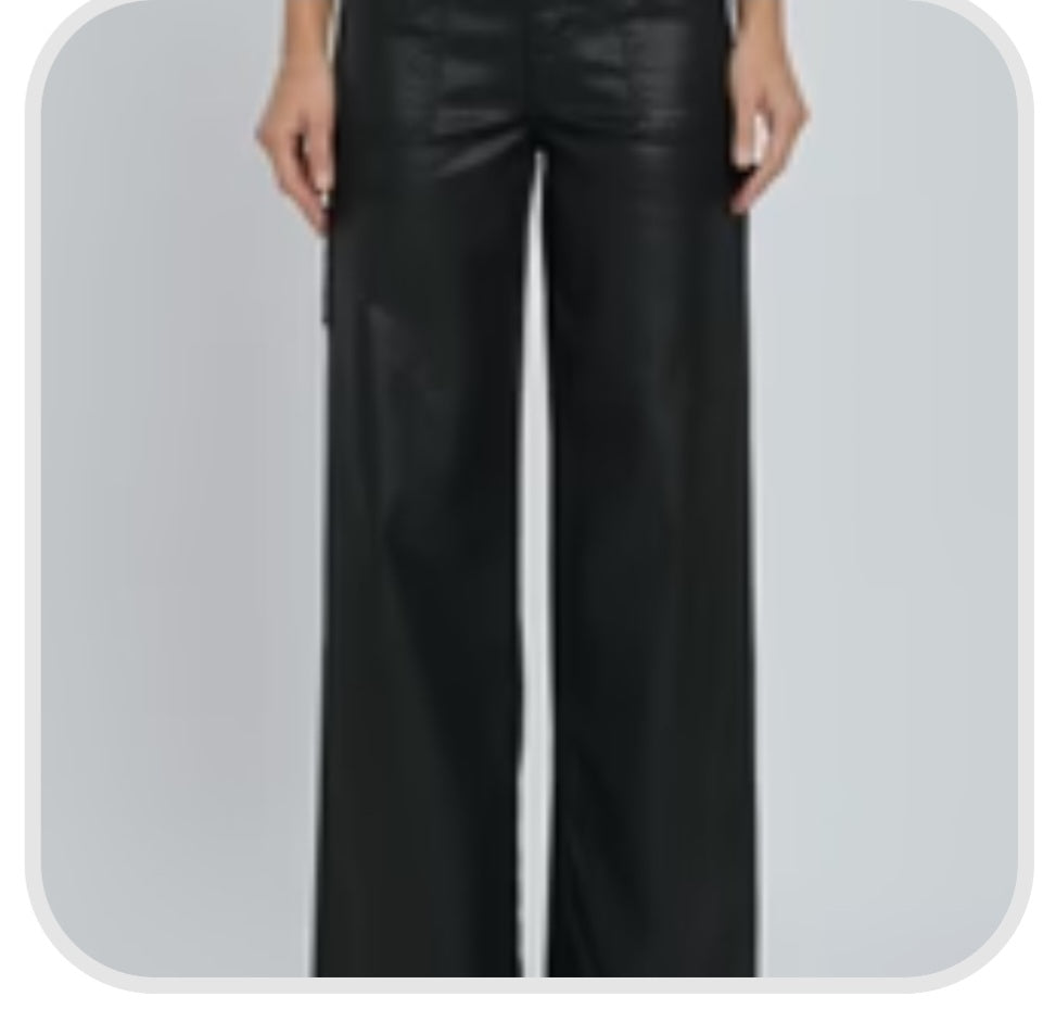 Black Coated Carpenter Jean