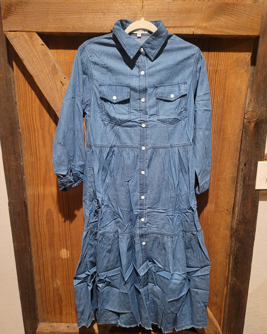 Chambray Love Denim Dress