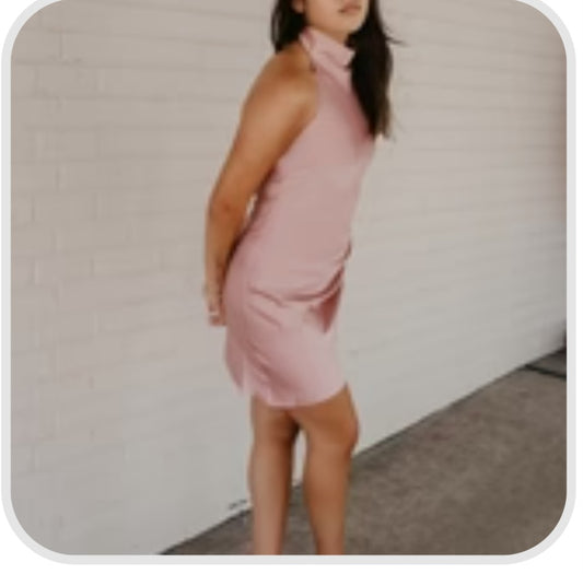 Petal Pink Dress