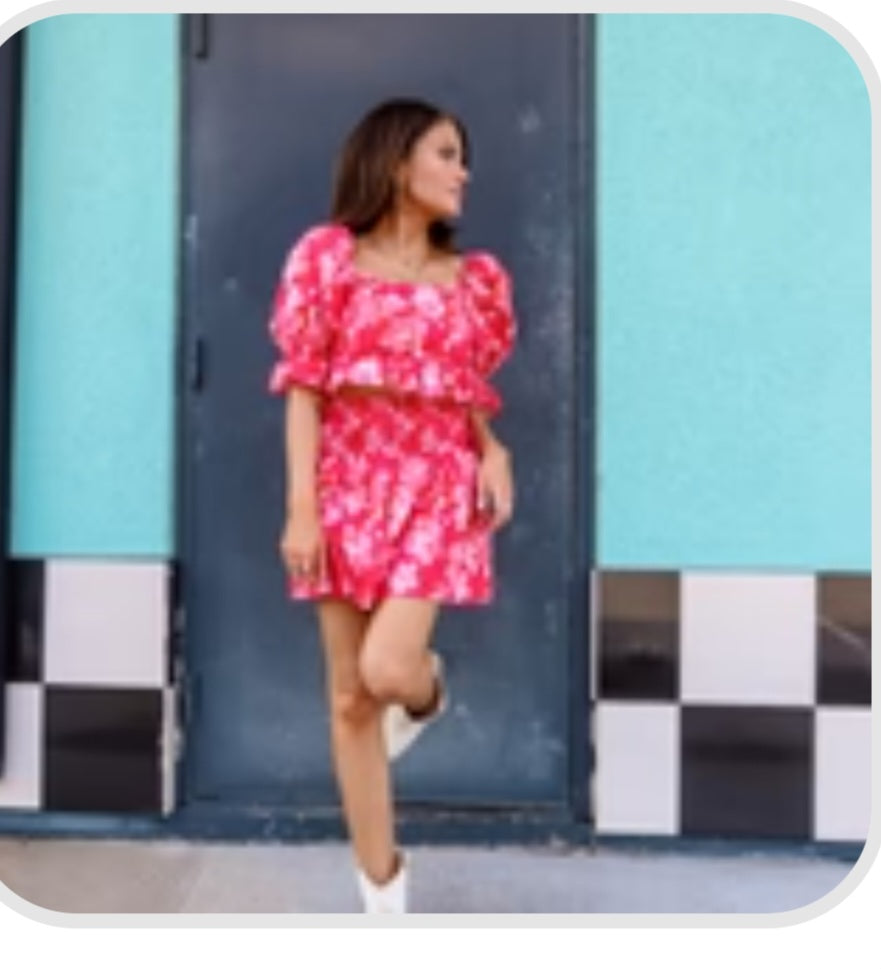 2 Piece Posies Skirt and top
